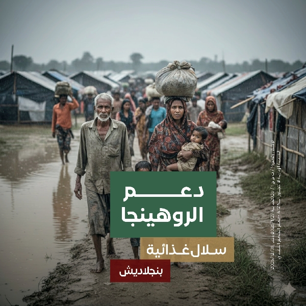 صورة مشروع دعم الروهينجا